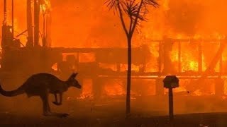 What's happening in Australia (BUSHFIRE CRISIS)