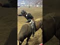 Max Bet shutdown for a second