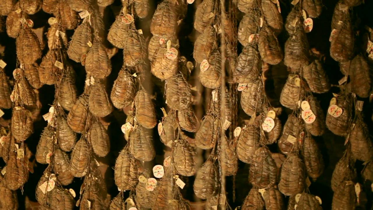 Culatello di Zibello - deutsch version