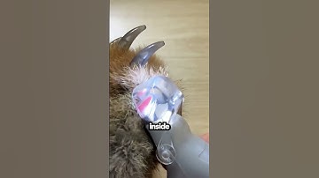 😱 The secret tool this man uses is incredible