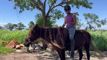 3 Unique Exercises to Improve Contact and Leg Position