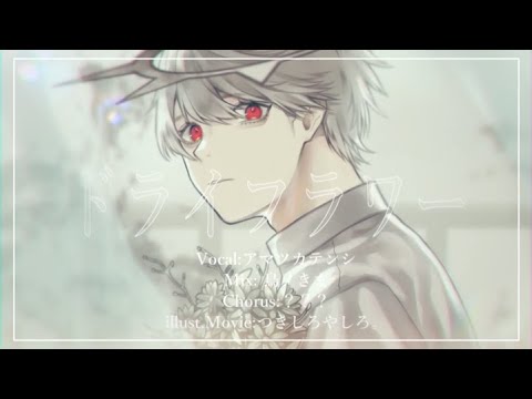 【オリジナルMV】ドライフラワー / 優里 (Covered by アマツカテンシ)