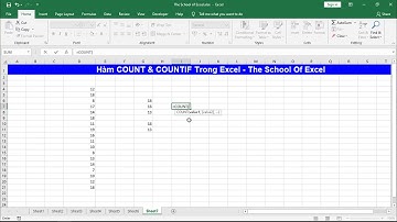 Cách sử dụng hàm COUNT và COUNTIF trong Excel