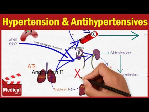 Pharmacology - Hypertension