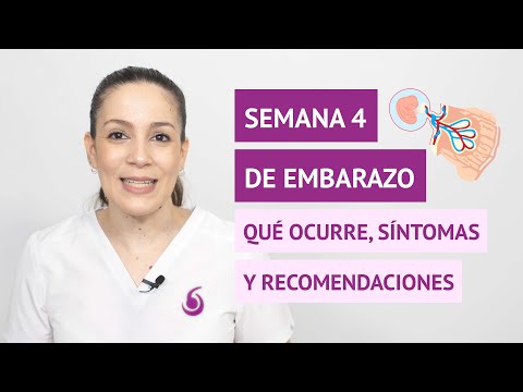 Semana 4 de