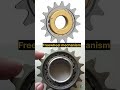 How Bicycles Can Coast! 🚲 (Freewheel Mechanism) #shorts