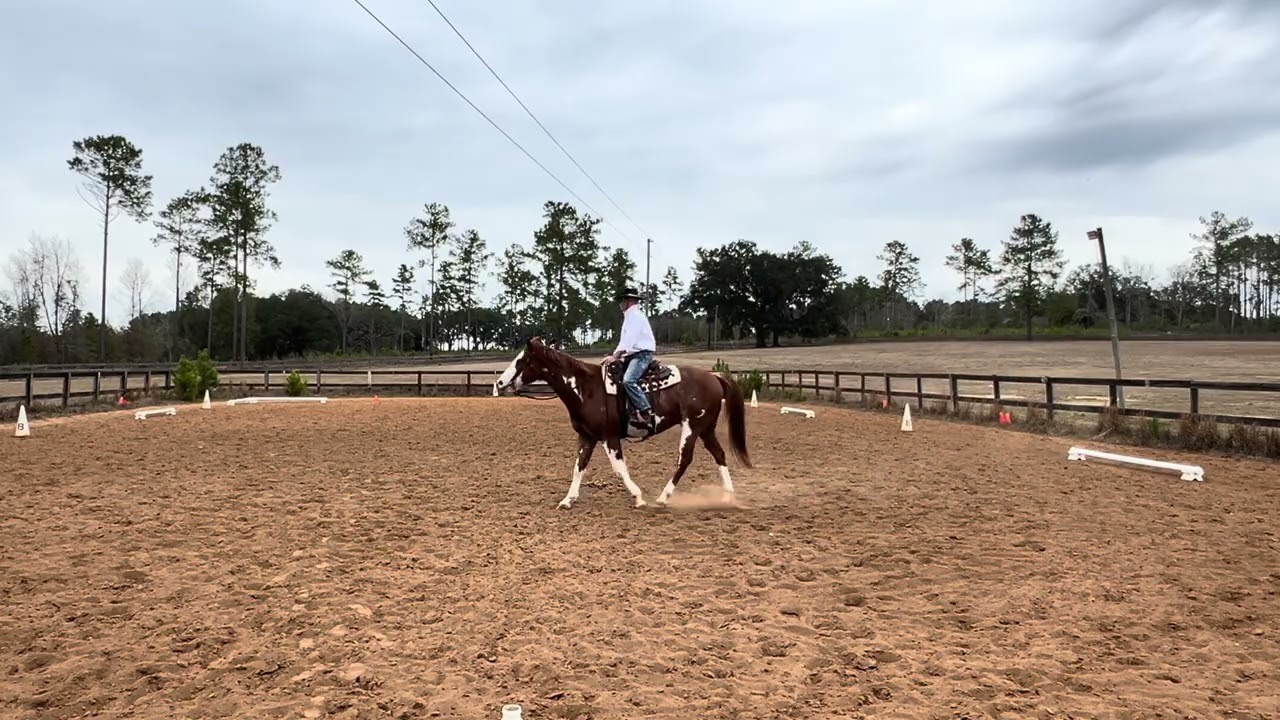 2026 WDAFL Gingerbread Jubilee, Scott-Ranger, WDAA 2022 Intro 1-A