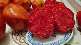 Вкусные и крупные томаты: Древние сердце Акви Терме и Знаменитая клубника миссис Шлаубах.