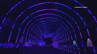 Sever's Holiday Light Show is almost here