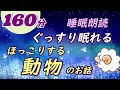 【ぐっすり眠れる睡眠朗読】ほっこりする動物のお話集(安眠用)