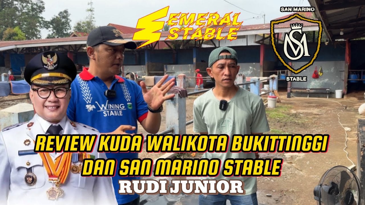 Review Kuda WALIKOTA BUKITTINGGI & SAN MARINO STABLE Menjelang Pacu Kuda PAYAKUMBUH