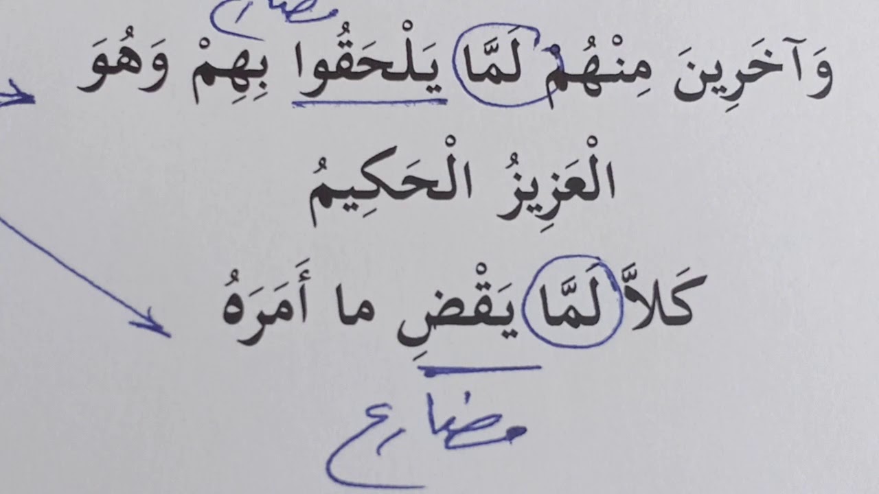الحرف لمَّا بين الاسمية والحرفية مع المحاضر محمد مكاوي