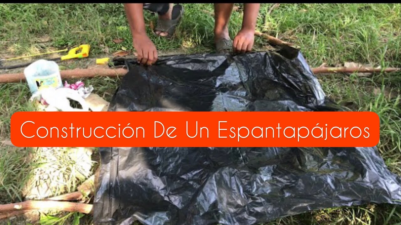 Cómo hacer el ESPANTAPÁJAROS más barato [TRUCOS] 🙀🦜