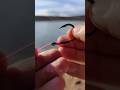 Best Fishing Knot (Snell Knot)