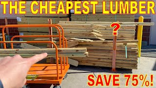 Lumber Dealers Don't Want You To Know About This SECRET WOOD For RAISED BED GARDENING