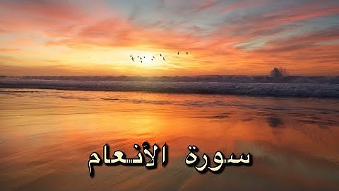 سورة الانعام لسعة الرزق و الزواج - ماهر المعيقلي