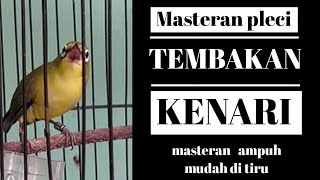 Download Lagu MASTERAN PLECI nembak kenari!! (terapi air sungai) MP3