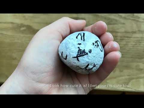 Wie Sie Ihr eigenes Haustier Rock machen! Einfache DIY!