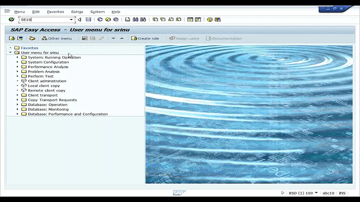 View the client data in T000 table