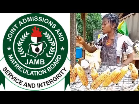 Corn Seller who Scored 279 in JAMB Wows Man as She Interacts in 'Clean' English in Video