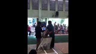 Ph Jr Ch Cheers Spectacular