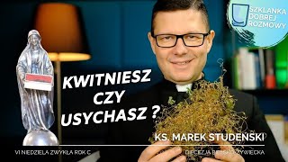 6 Niedziela Zwykła Rok C Ks Marek Studenski Szklanka Dobrej Rozmowy