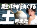 【超解説】塊根植物が爆速で丸く育つ土を科学的に考えてみた[塊根植物][アガベ][パキポディウム][洗脳土]