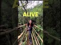 Breathtaking marvel of Living Root Bridges in Meghalaya I North East India Travel