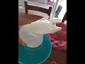 Experimento. "El aire ocupa espacio". Paula Vilchez