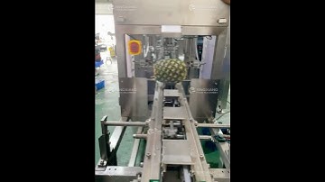 Automated Pineapple Cutting and Peeling Machine #pineapplecutting #pineapple