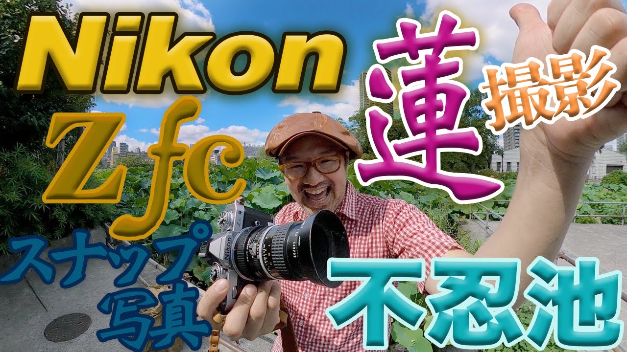 Nikon Z fc - Actual Shooting - Lotus Photography] A must-see for