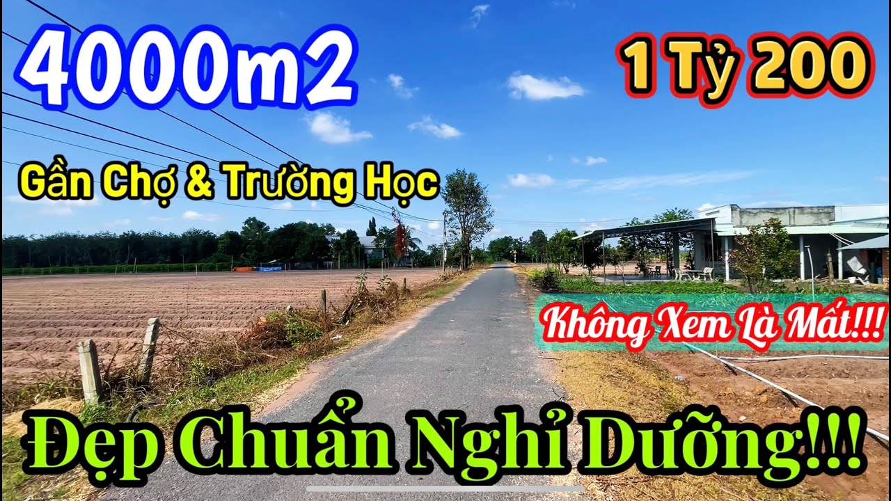 Săn Được Lô Này Là HỜI! 4.000m² Mặt Tiền Nhựa – Gần Chợ + Trường Học, Giá 1ty200 Không Thể Tin!