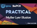 IGNOU BAPCH | Practical | 1st Year | BPCC 101 Practicumm | PsyMate | Muller lyer Illusion