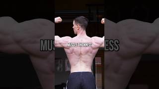 Best Exercise For Back Thickness