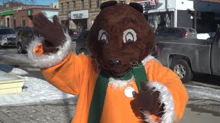 Upcoming Gravenhurst Winter Carnival