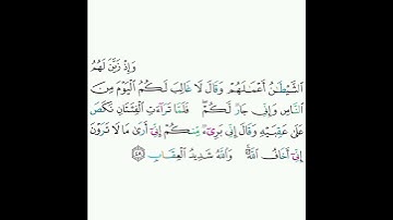 8 - سورة الأنفال ٤٨ - علي الحذيفي