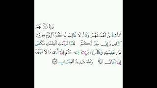 8 - سورة الأنفال ٤٨ - علي الحذيفي