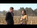 2010 bordeaux interview with florence cathiard from smith haut lafitte