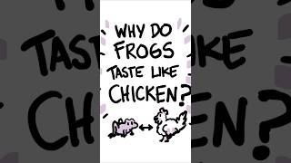 Is all meat the SAME?? 🍖 #science #shorts #food #foodie