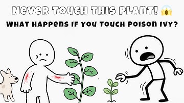 Never Touch This Plant! 😱 The Shocking Truth About Poison Ivy & Urushiol