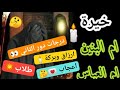 #خيرة#ام # 1/ا ص ه ب  س ش ت ر ح و ل ن ز ع 2/ج خ ث ك ي د ط ض م ظ ف ق ذ غ