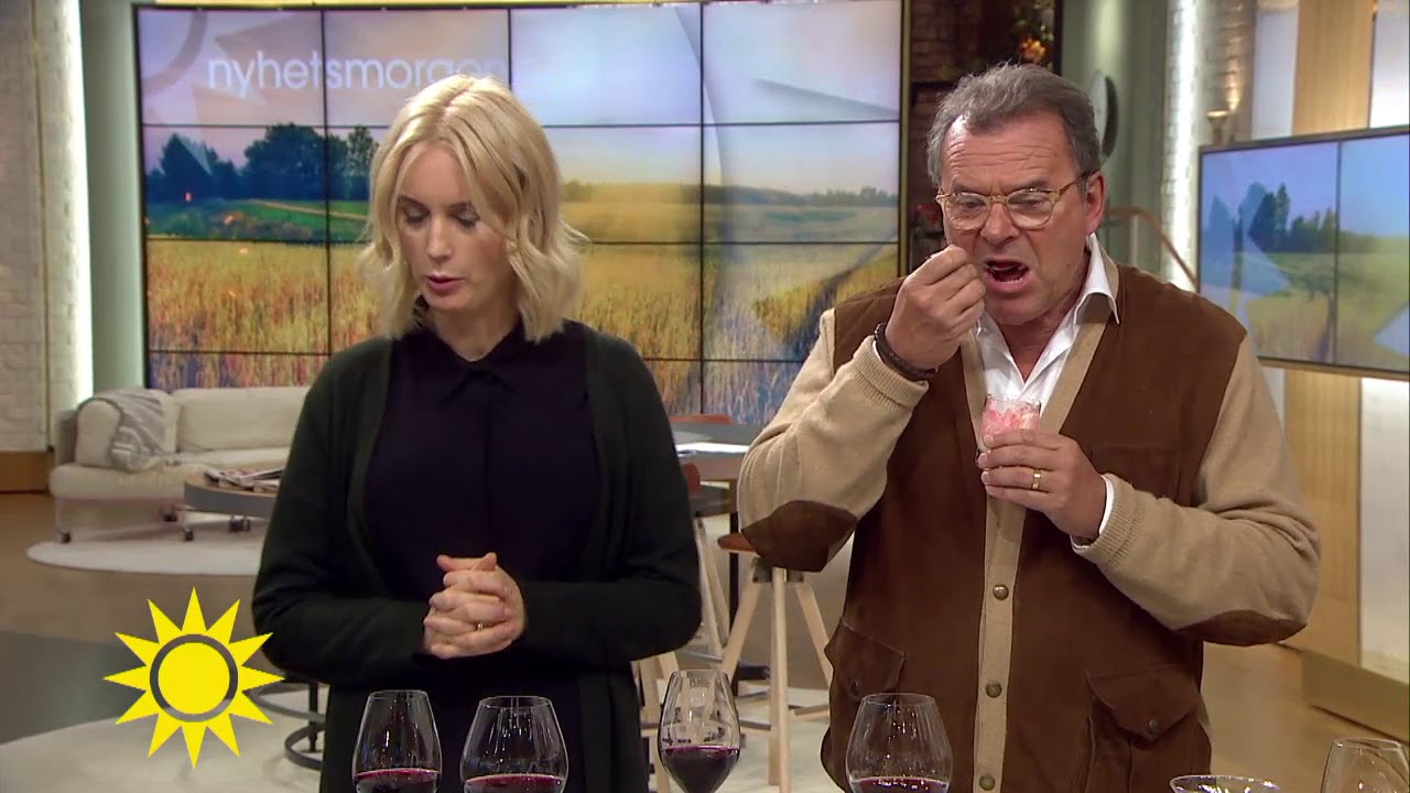 Här kör prinsessan Estelle slut på pappa prins Daniel - Nyhetsmorgon (TV4)