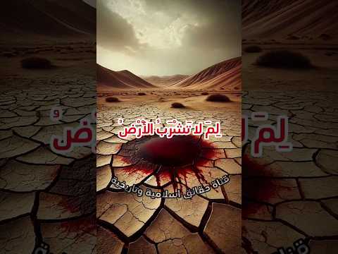 لماذا الارض لا تشرب الدم القرآن الكريم تريند ذكر الله يوميات محمد خيري