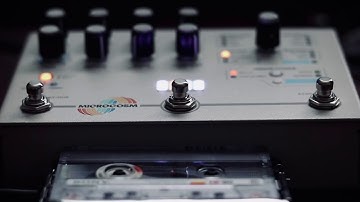 Hologram Electronics Microcosm & Tape Loop