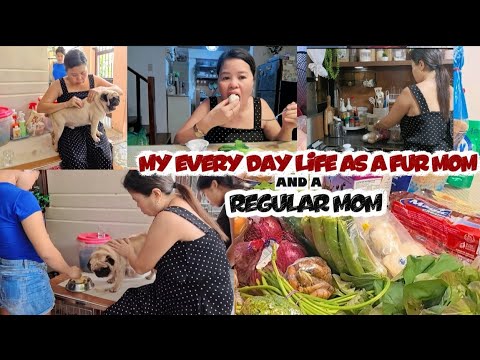 My every day routine as a fur mom and a regular mom #everydaylife #petlover 