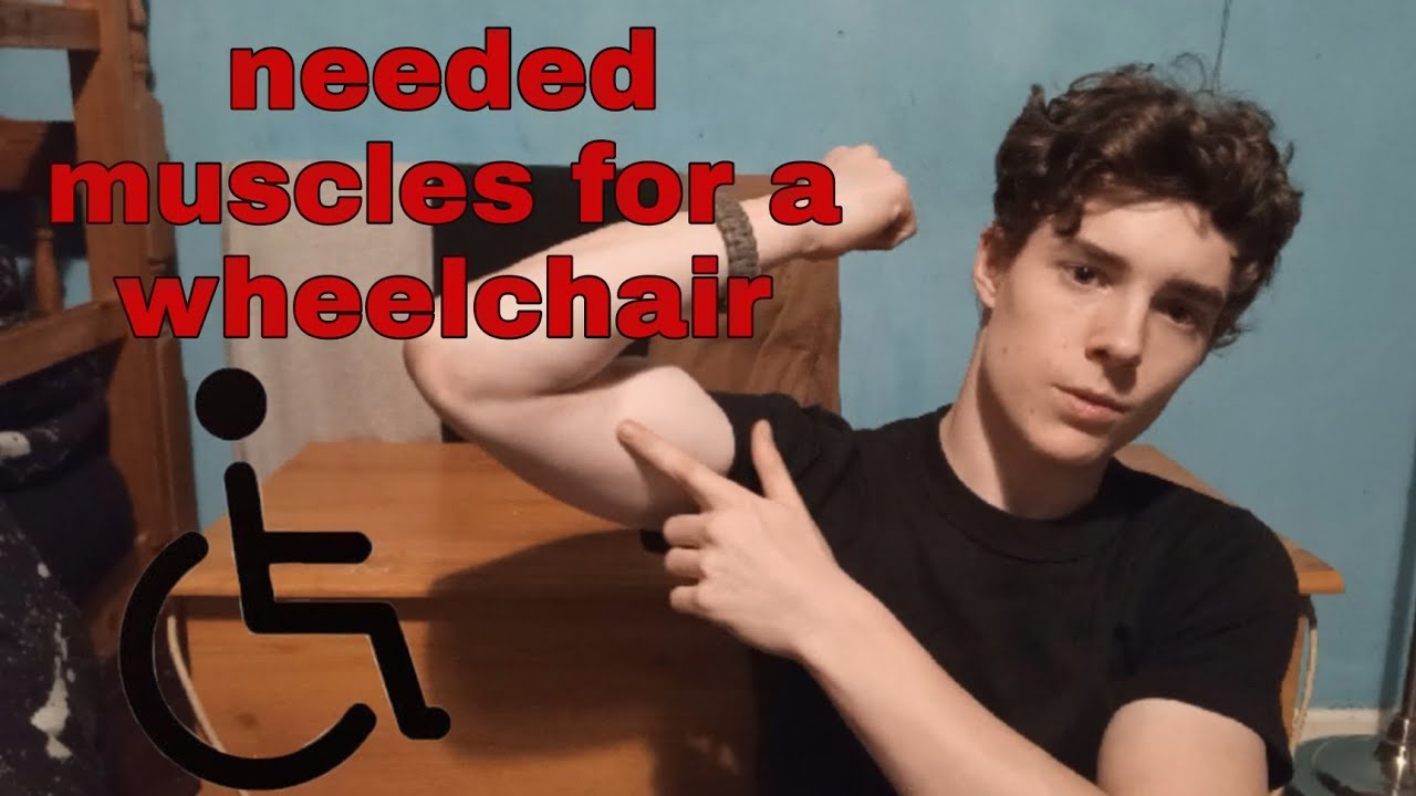 MUSCLES to WORKOUT in a wheelchair YouTube