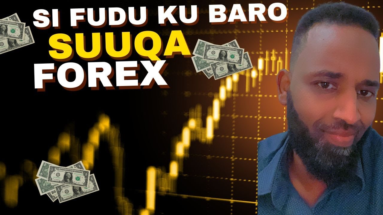 Forex back testing simulation tani waa mida kaa caawineyso barashada