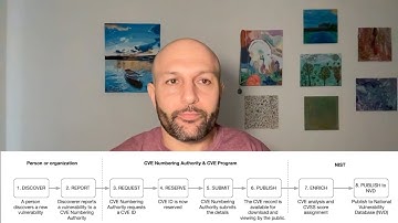 The science of application security risk with CVEs