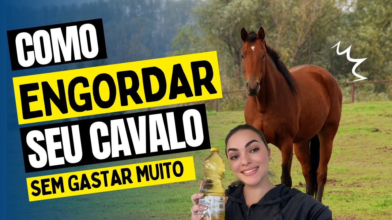 COMO ENGORDAR  SEU CAVALO RÁPIDO E SEM GASTAR MUITO