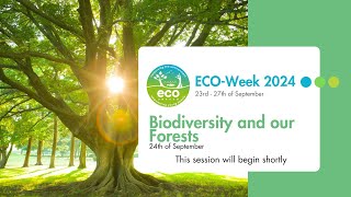 SDG #15 Biodiversity and our Forests (Age: 13-18)